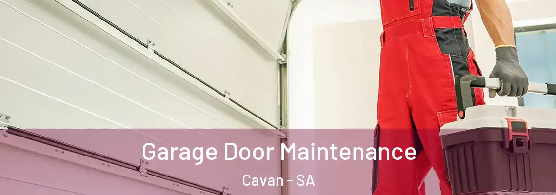  Garage Door Maintenance Cavan - SA