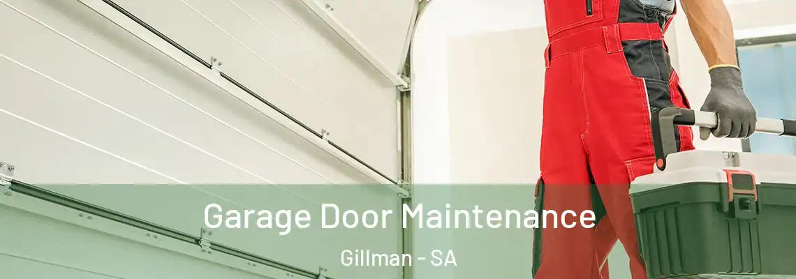  Garage Door Maintenance Gillman - SA
