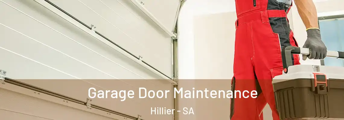  Garage Door Maintenance Hillier - SA