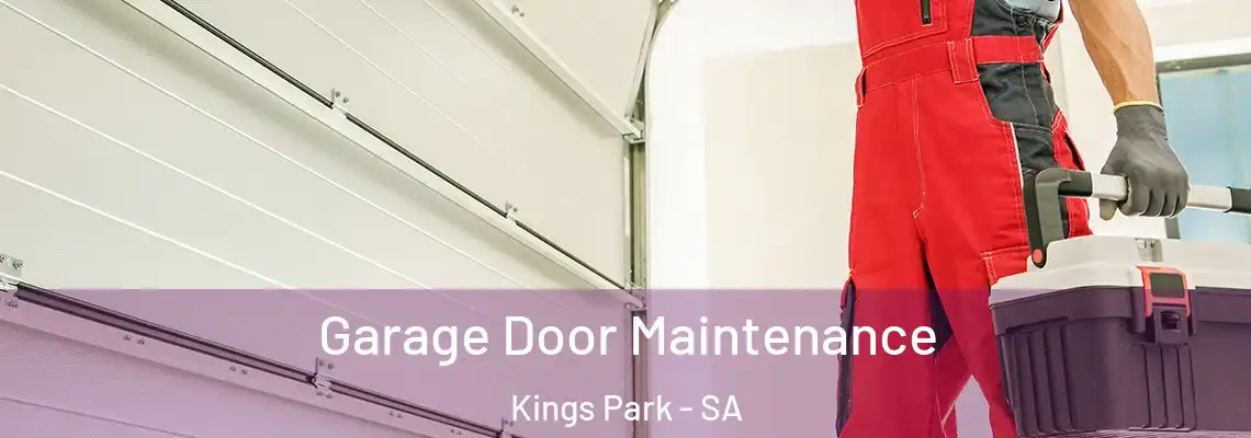  Garage Door Maintenance Kings Park - SA