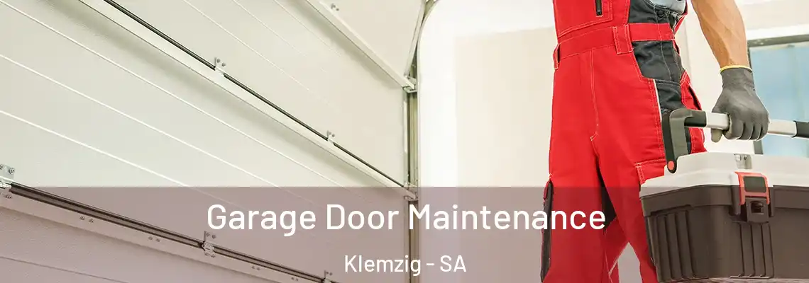  Garage Door Maintenance Klemzig - SA