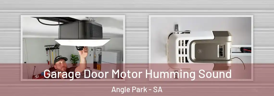  Garage Door Motor Humming Sound Angle Park - SA