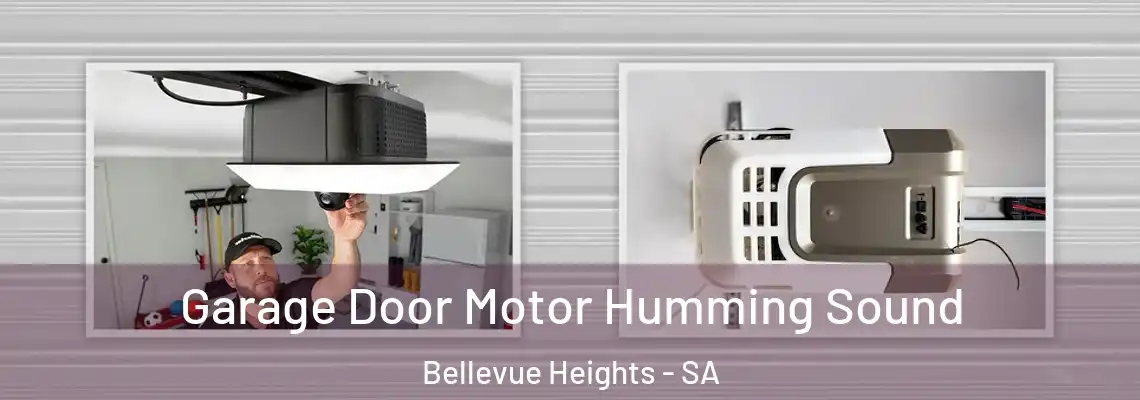  Garage Door Motor Humming Sound Bellevue Heights - SA