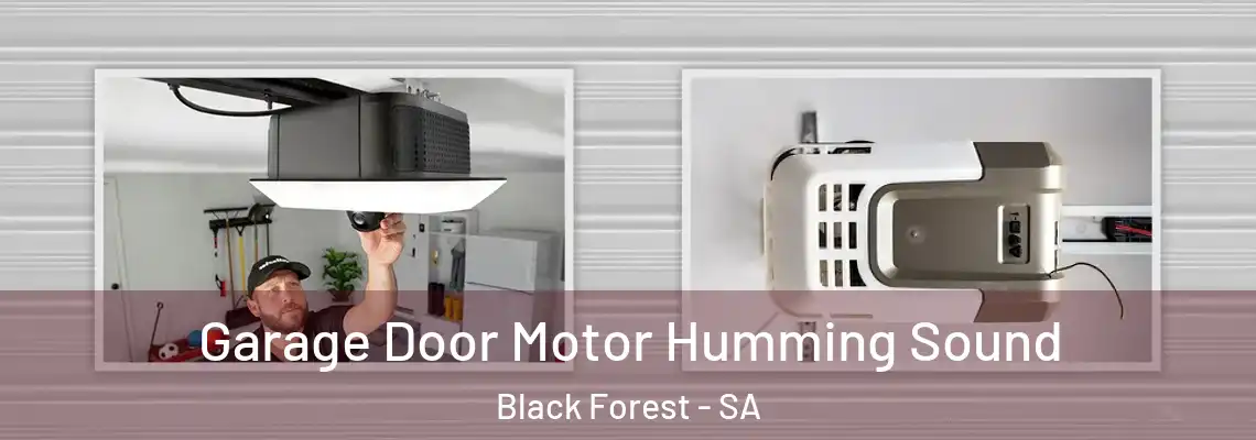  Garage Door Motor Humming Sound Black Forest - SA