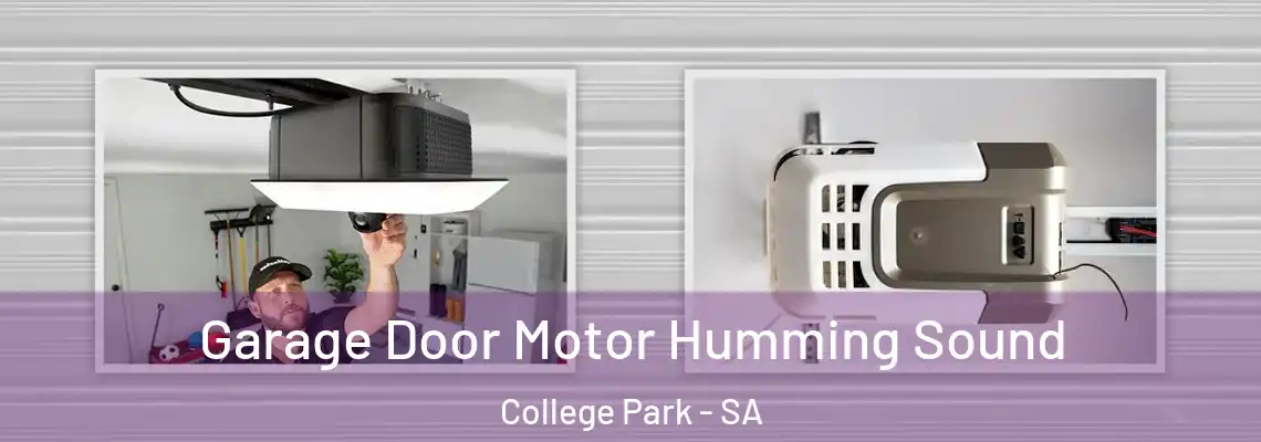  Garage Door Motor Humming Sound College Park - SA