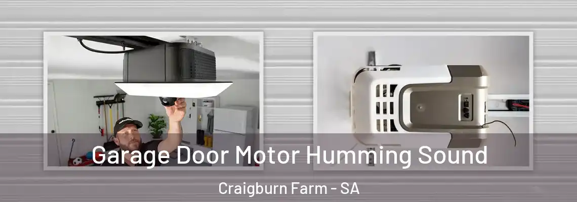  Garage Door Motor Humming Sound Craigburn Farm - SA