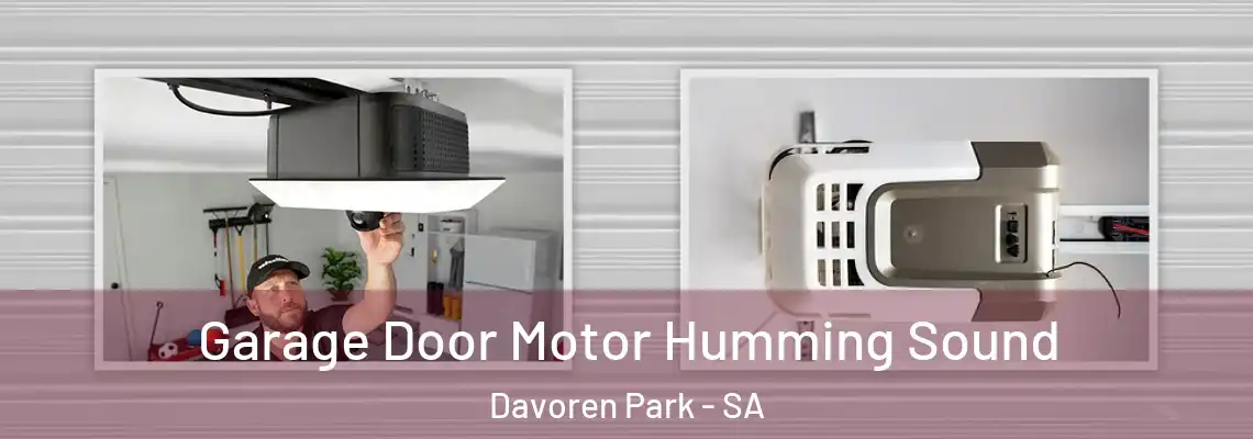  Garage Door Motor Humming Sound Davoren Park - SA