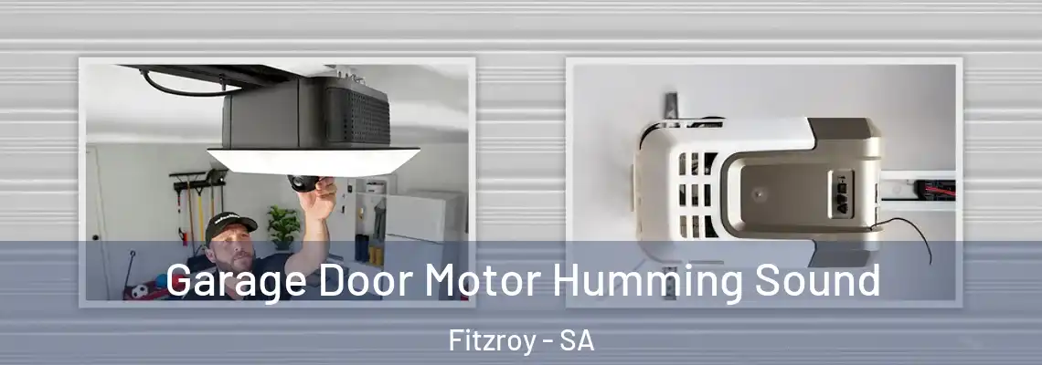  Garage Door Motor Humming Sound Fitzroy - SA