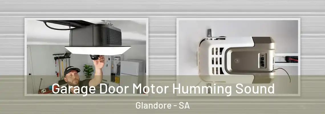  Garage Door Motor Humming Sound Glandore - SA