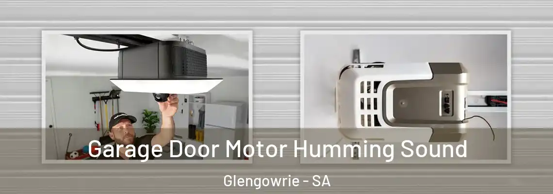  Garage Door Motor Humming Sound Glengowrie - SA