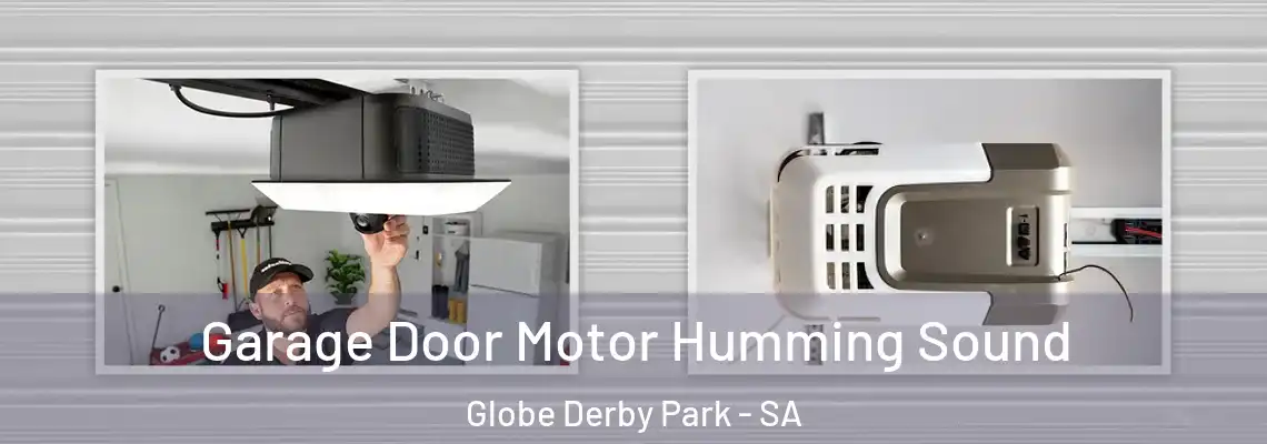  Garage Door Motor Humming Sound Globe Derby Park - SA