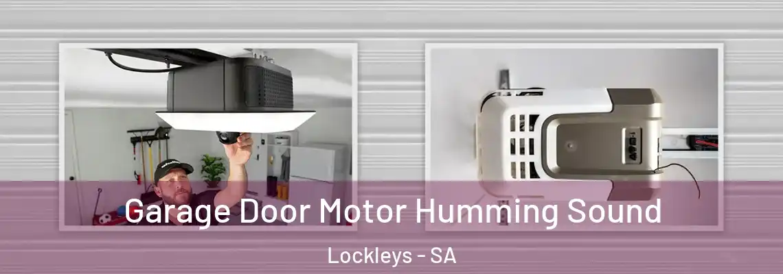  Garage Door Motor Humming Sound Lockleys - SA