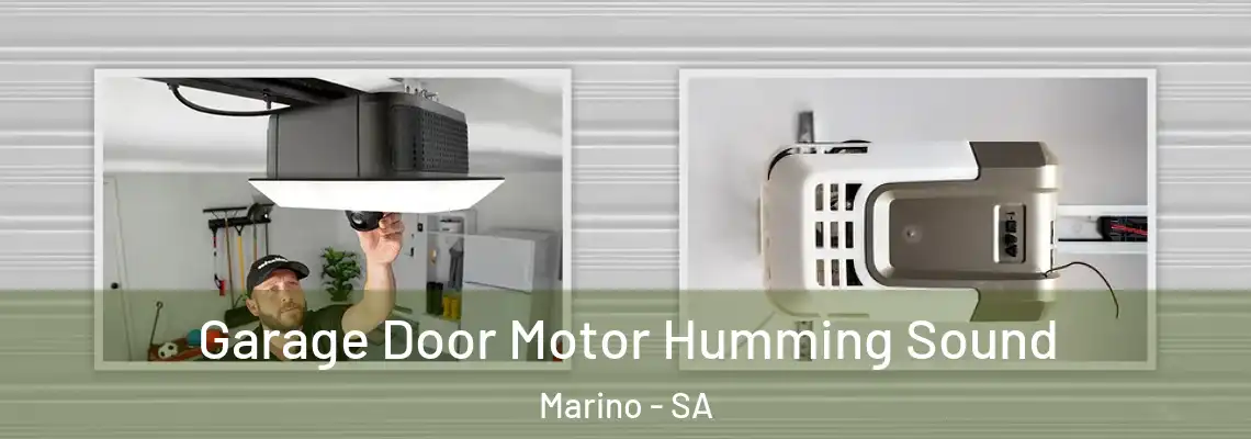  Garage Door Motor Humming Sound Marino - SA