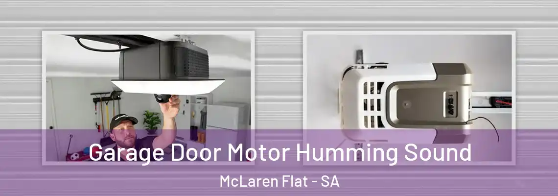  Garage Door Motor Humming Sound McLaren Flat - SA