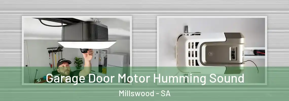  Garage Door Motor Humming Sound Millswood - SA