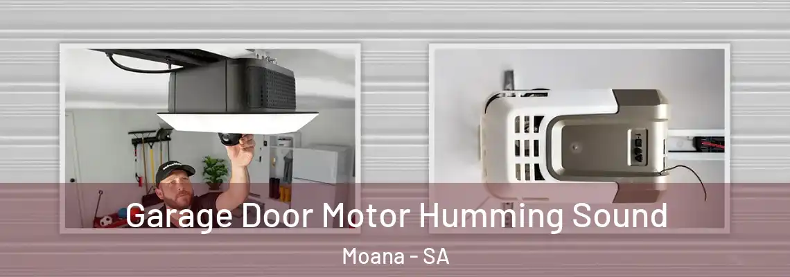  Garage Door Motor Humming Sound Moana - SA