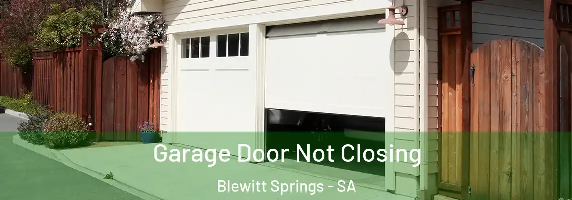  Garage Door Not Closing Blewitt Springs - SA