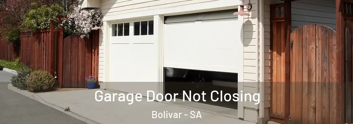 Garage Door Not Closing Bolivar - SA
