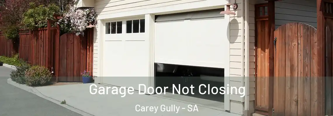  Garage Door Not Closing Carey Gully - SA
