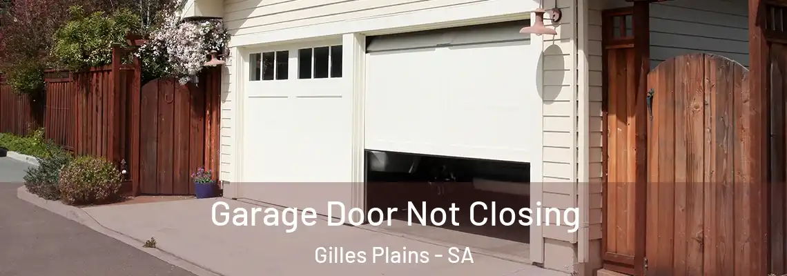  Garage Door Not Closing Gilles Plains - SA