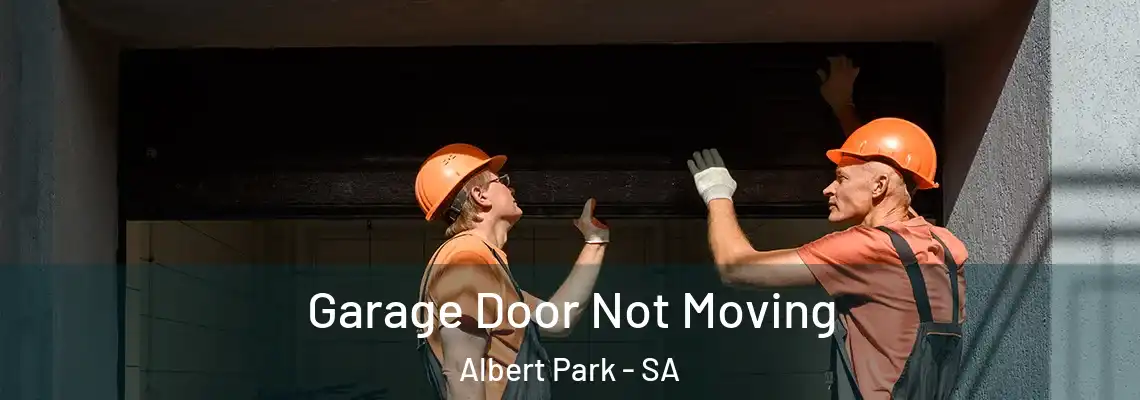  Garage Door Not Moving Albert Park - SA