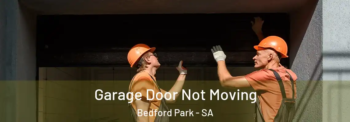  Garage Door Not Moving Bedford Park - SA
