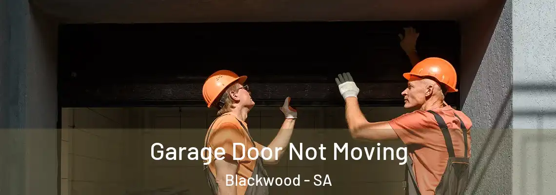  Garage Door Not Moving Blackwood - SA