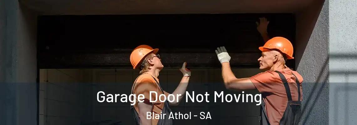  Garage Door Not Moving Blair Athol - SA