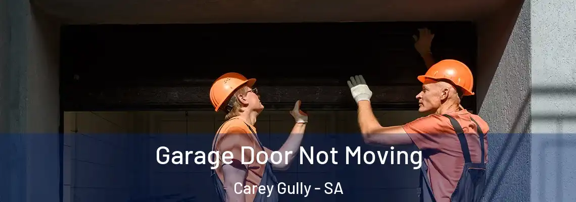 Garage Door Not Moving Carey Gully - SA