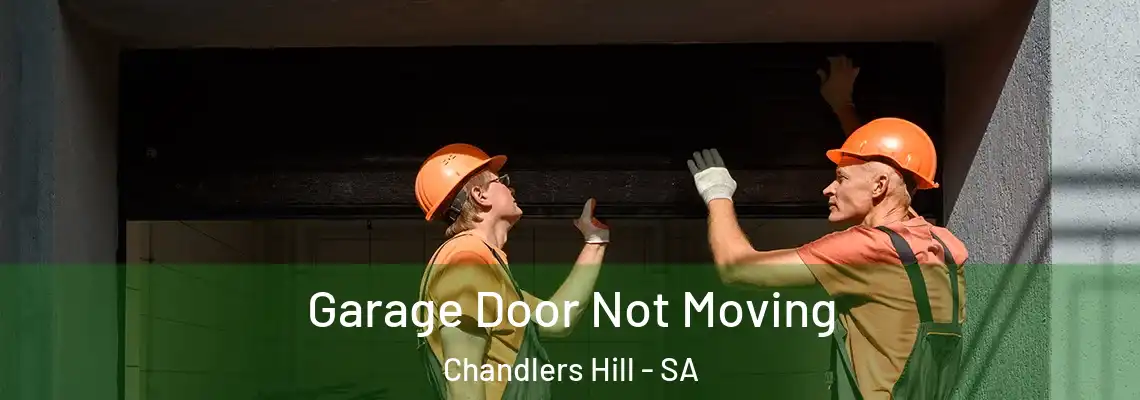  Garage Door Not Moving Chandlers Hill - SA