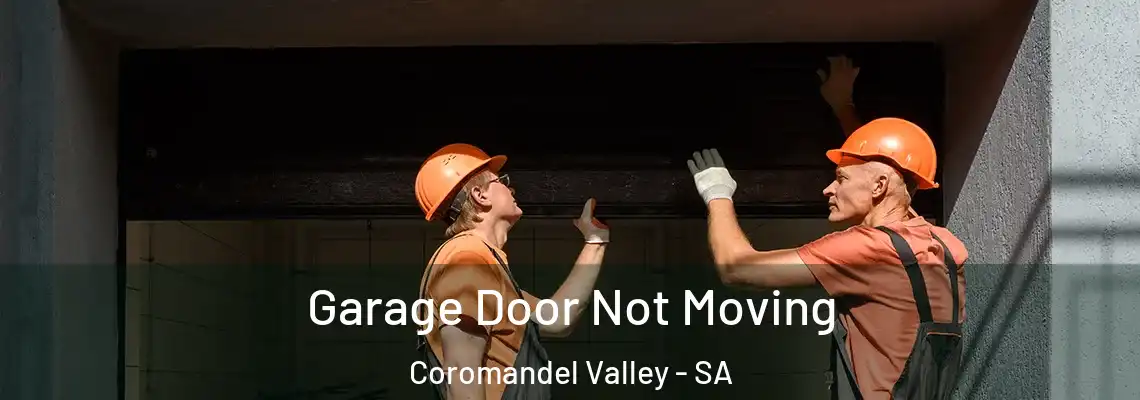  Garage Door Not Moving Coromandel Valley - SA