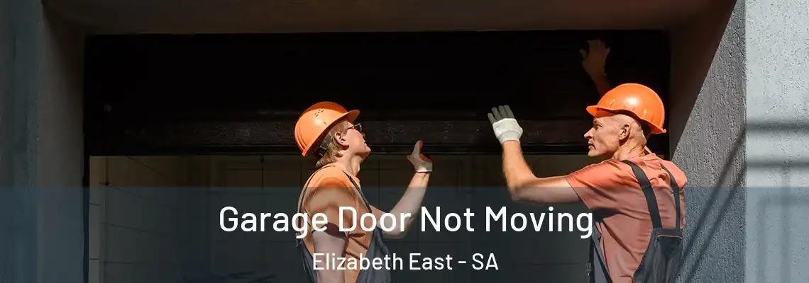  Garage Door Not Moving Elizabeth East - SA