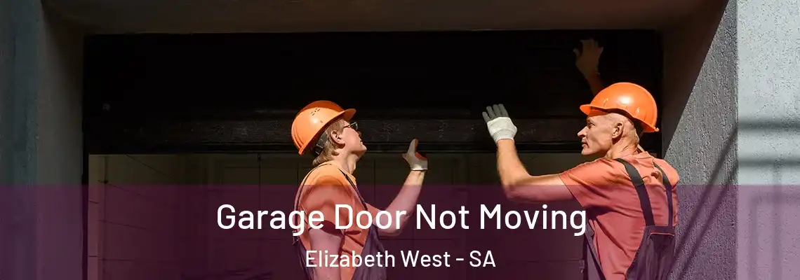  Garage Door Not Moving Elizabeth West - SA