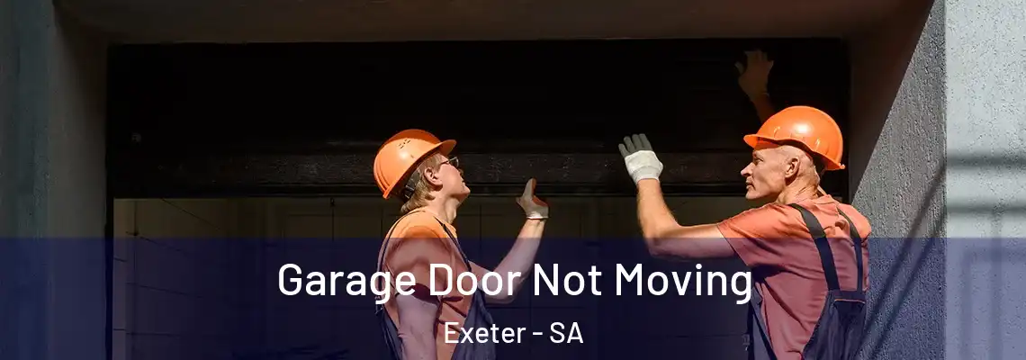  Garage Door Not Moving Exeter - SA