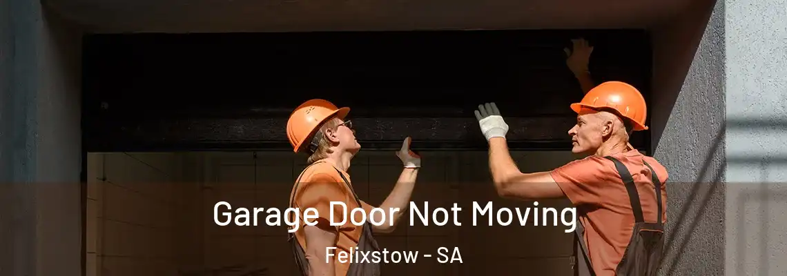  Garage Door Not Moving Felixstow - SA