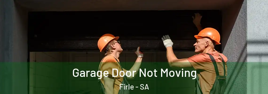  Garage Door Not Moving Firle - SA