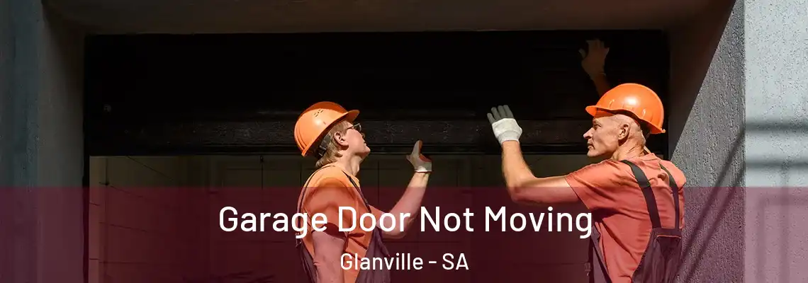  Garage Door Not Moving Glanville - SA