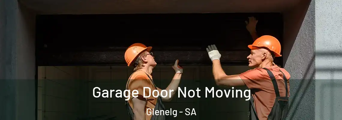 Garage Door Not Moving Glenelg - SA