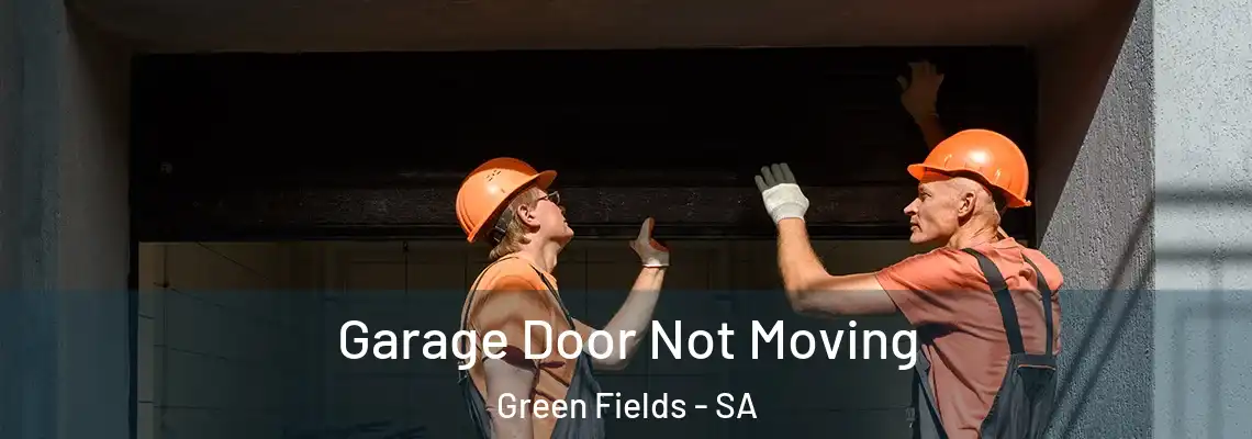  Garage Door Not Moving Green Fields - SA