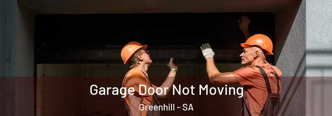  Garage Door Not Moving Greenhill - SA