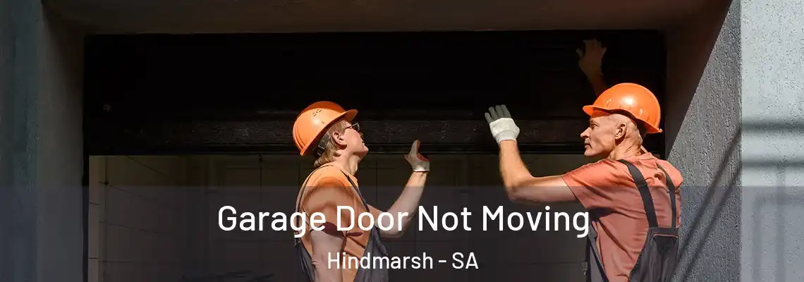  Garage Door Not Moving Hindmarsh - SA