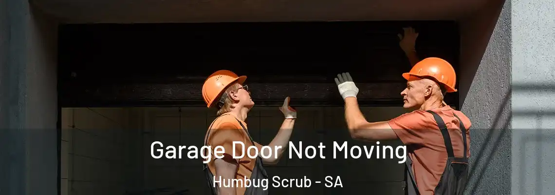  Garage Door Not Moving Humbug Scrub - SA