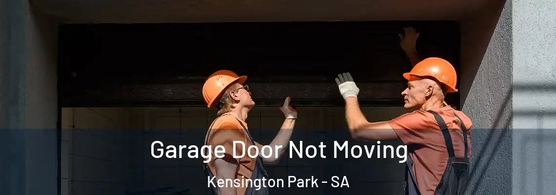  Garage Door Not Moving Kensington Park - SA