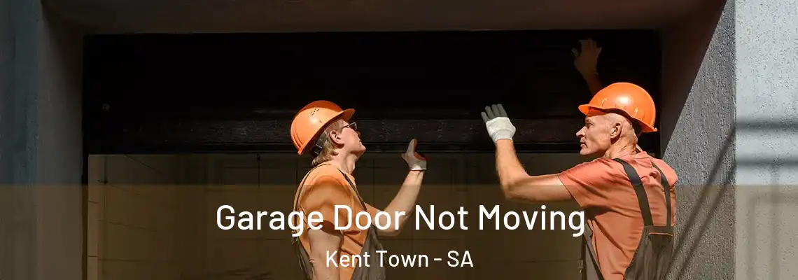  Garage Door Not Moving Kent Town - SA
