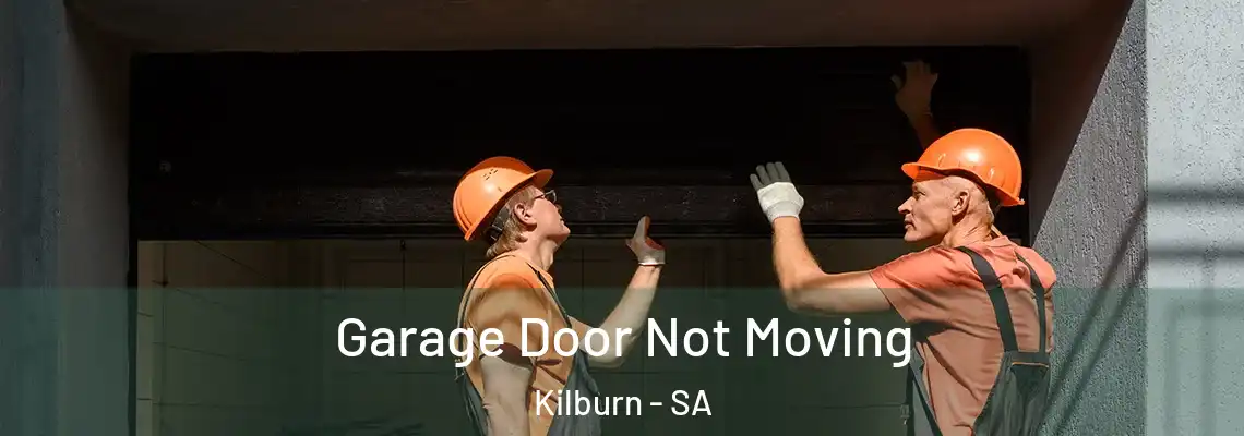 Garage Door Not Moving Kilburn - SA