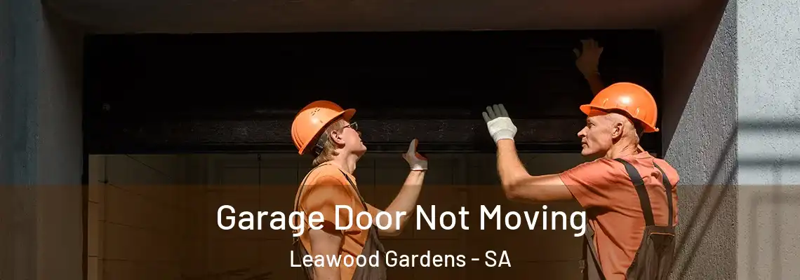  Garage Door Not Moving Leawood Gardens - SA