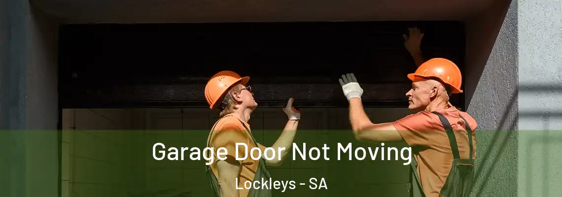  Garage Door Not Moving Lockleys - SA
