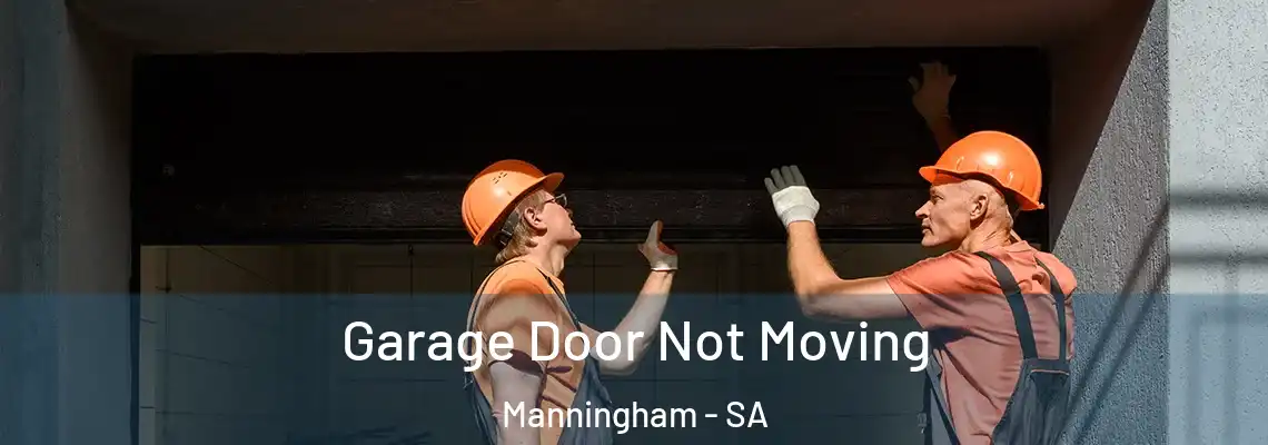 Garage Door Not Moving Manningham - SA