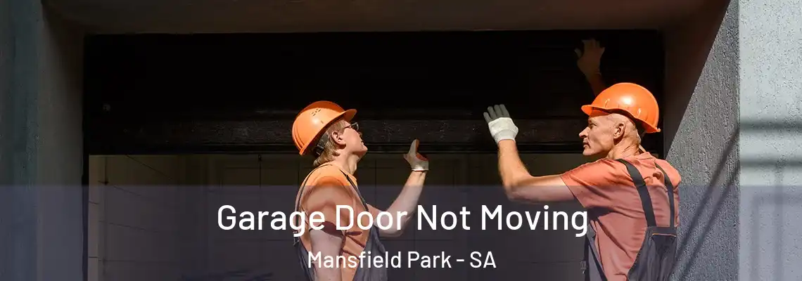  Garage Door Not Moving Mansfield Park - SA
