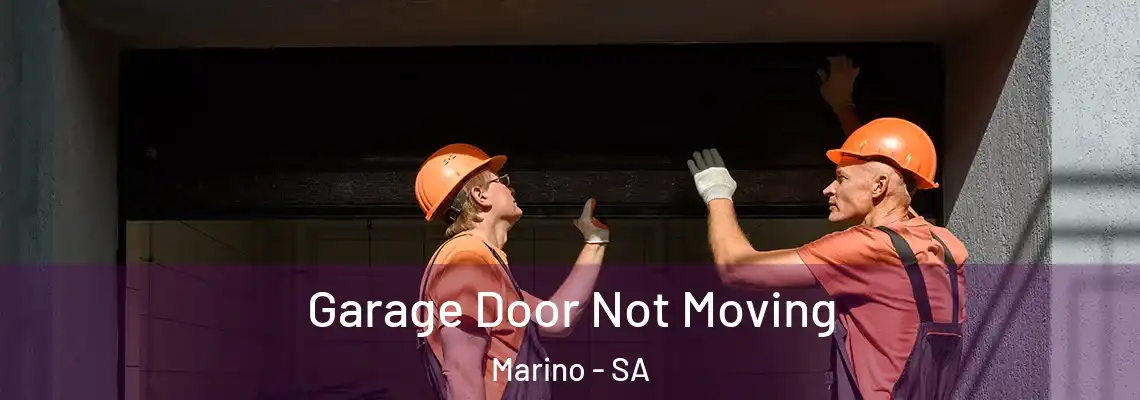  Garage Door Not Moving Marino - SA